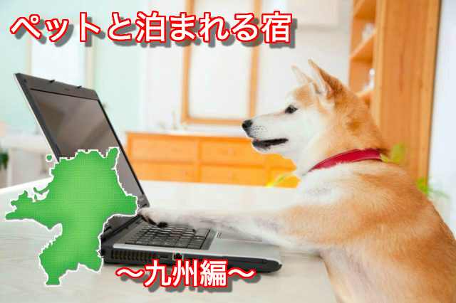 九州でペット 犬 と泊まれる宿 おすすめランキングベスト10 ビタパル